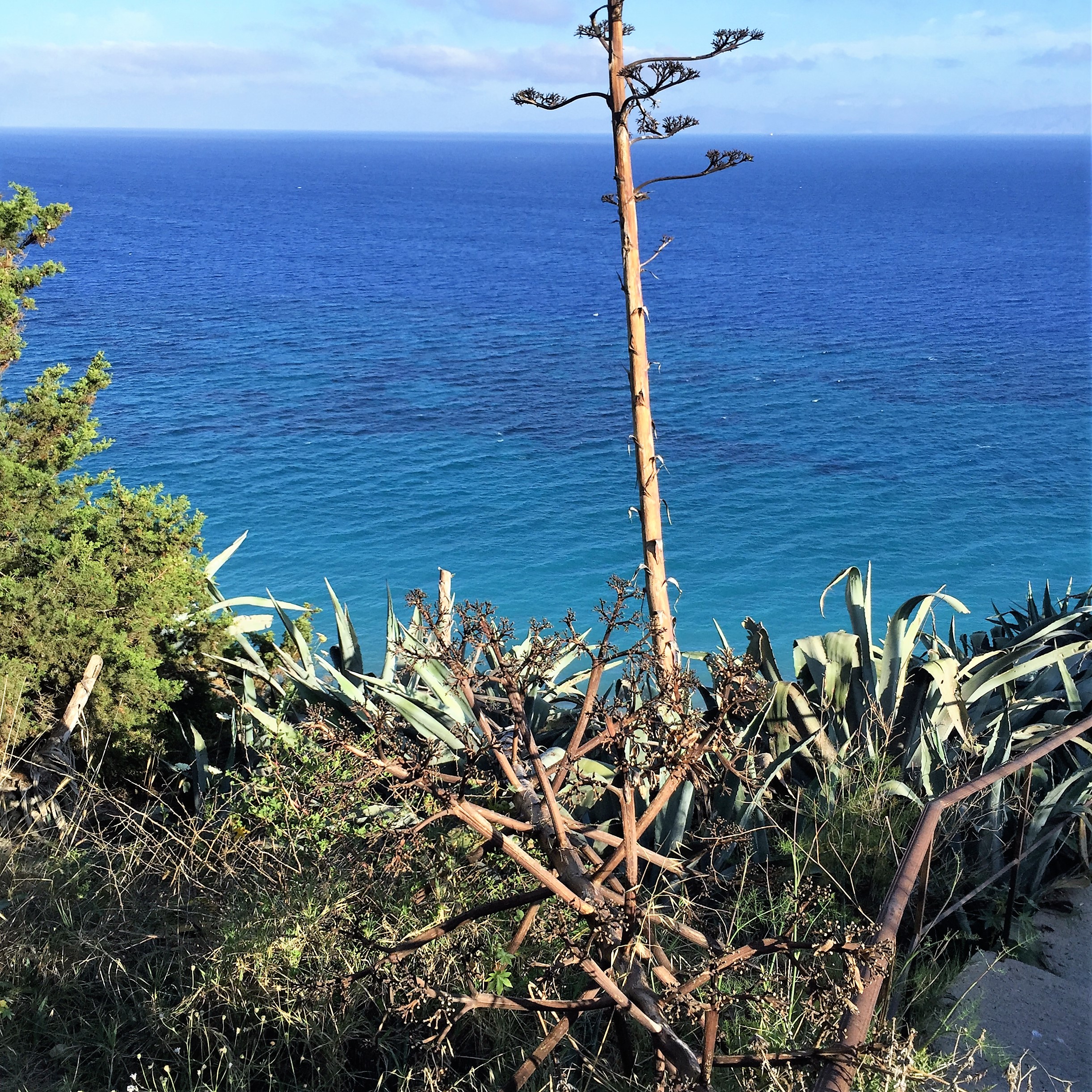 Taking a New Road in Rhodes by Mel Rosenberg - מל רוזנברג - Ourboox.com