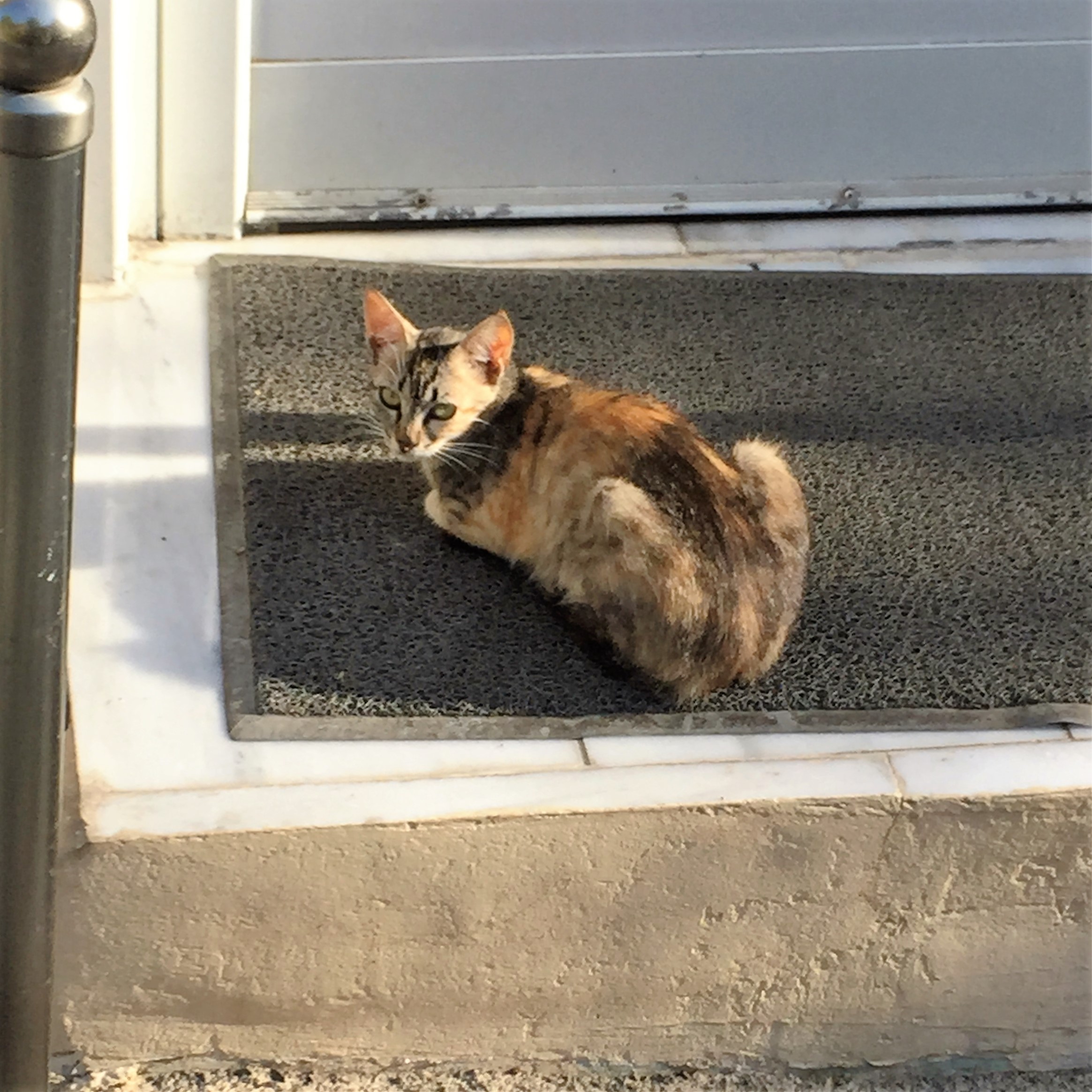 Taking a New Road in Rhodes by Mel Rosenberg - מל רוזנברג - Ourboox.com