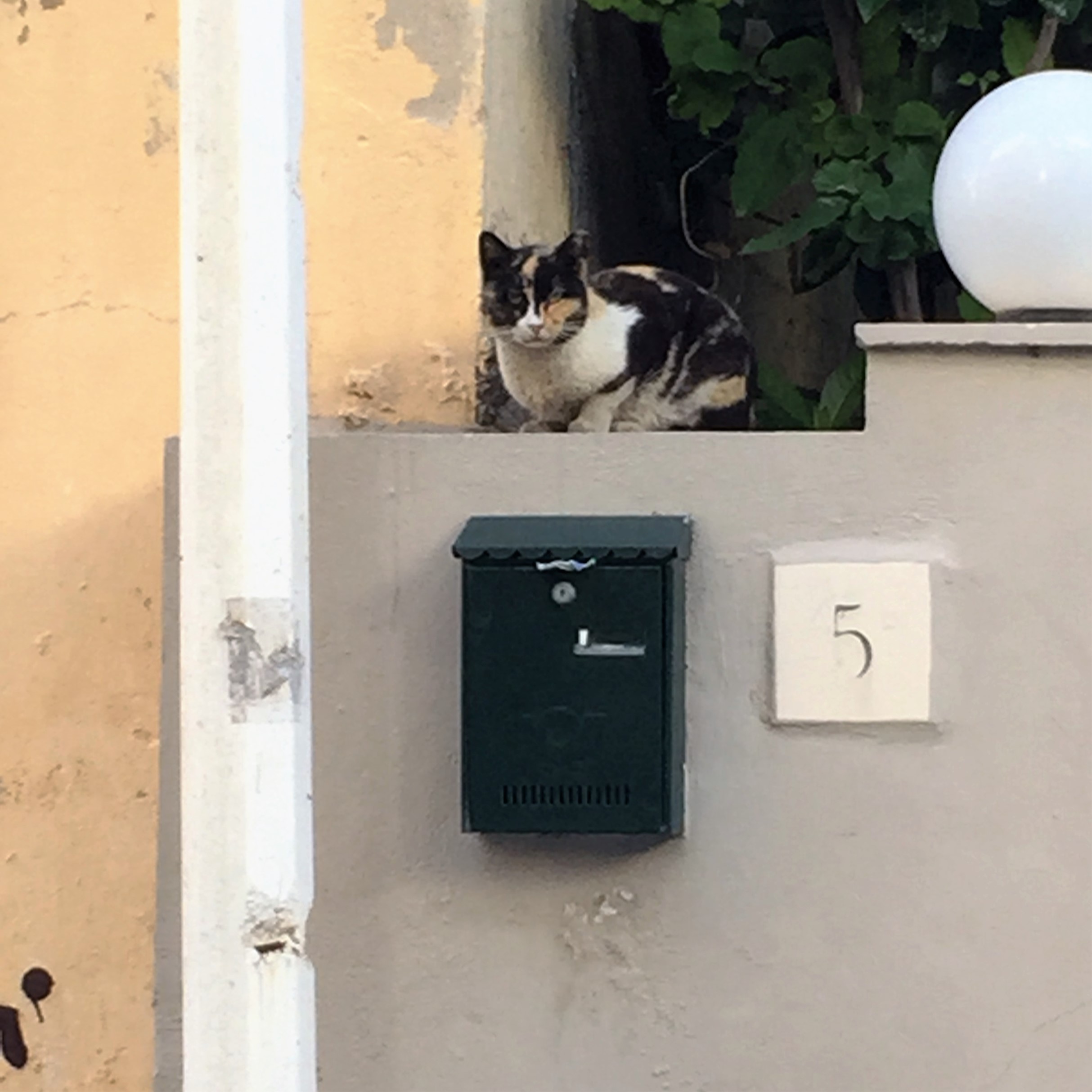 Taking a New Road in Rhodes by Mel Rosenberg - מל רוזנברג - Ourboox.com