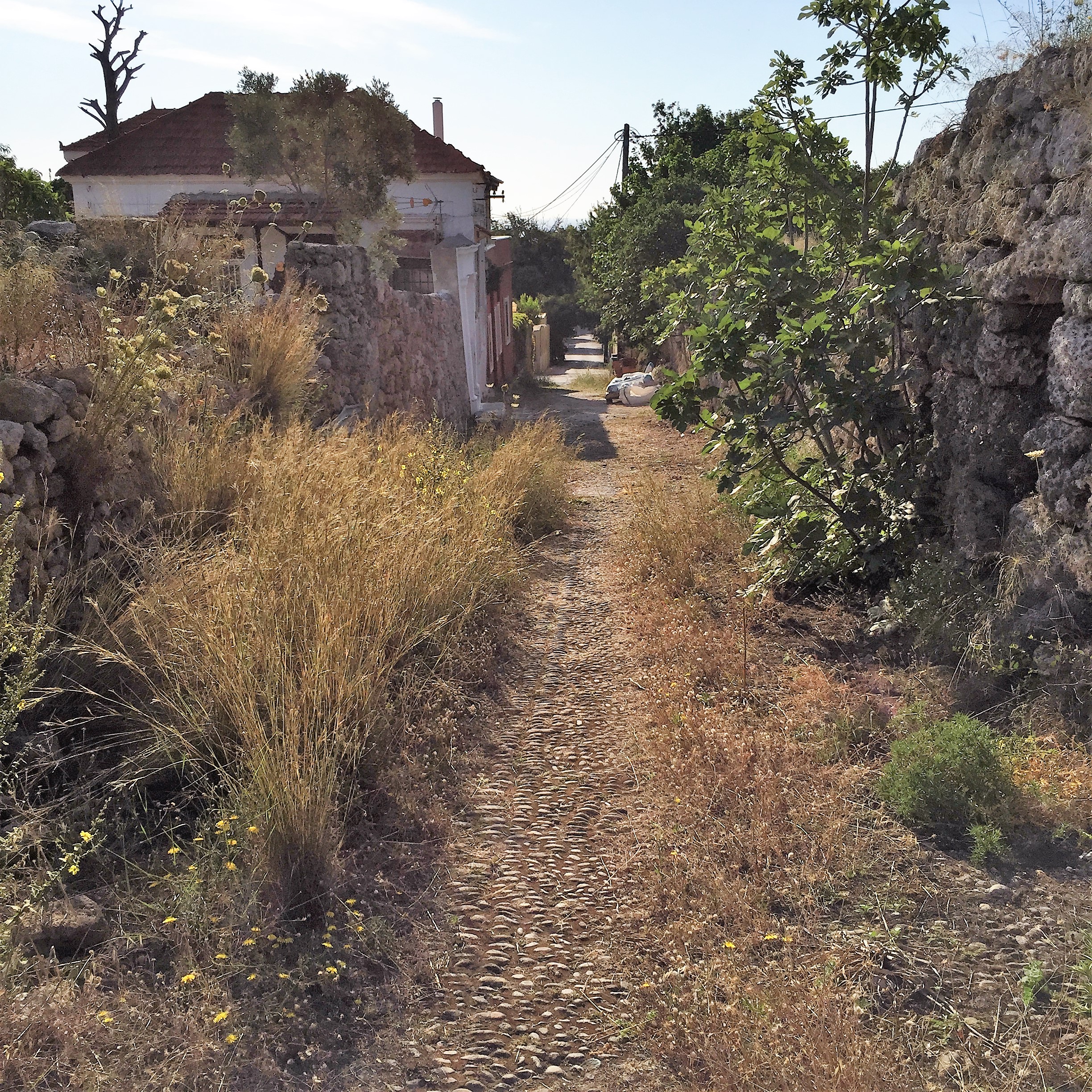 Peripatos with George in Rhodes by Mel Rosenberg - מל רוזנברג - Ourboox.com