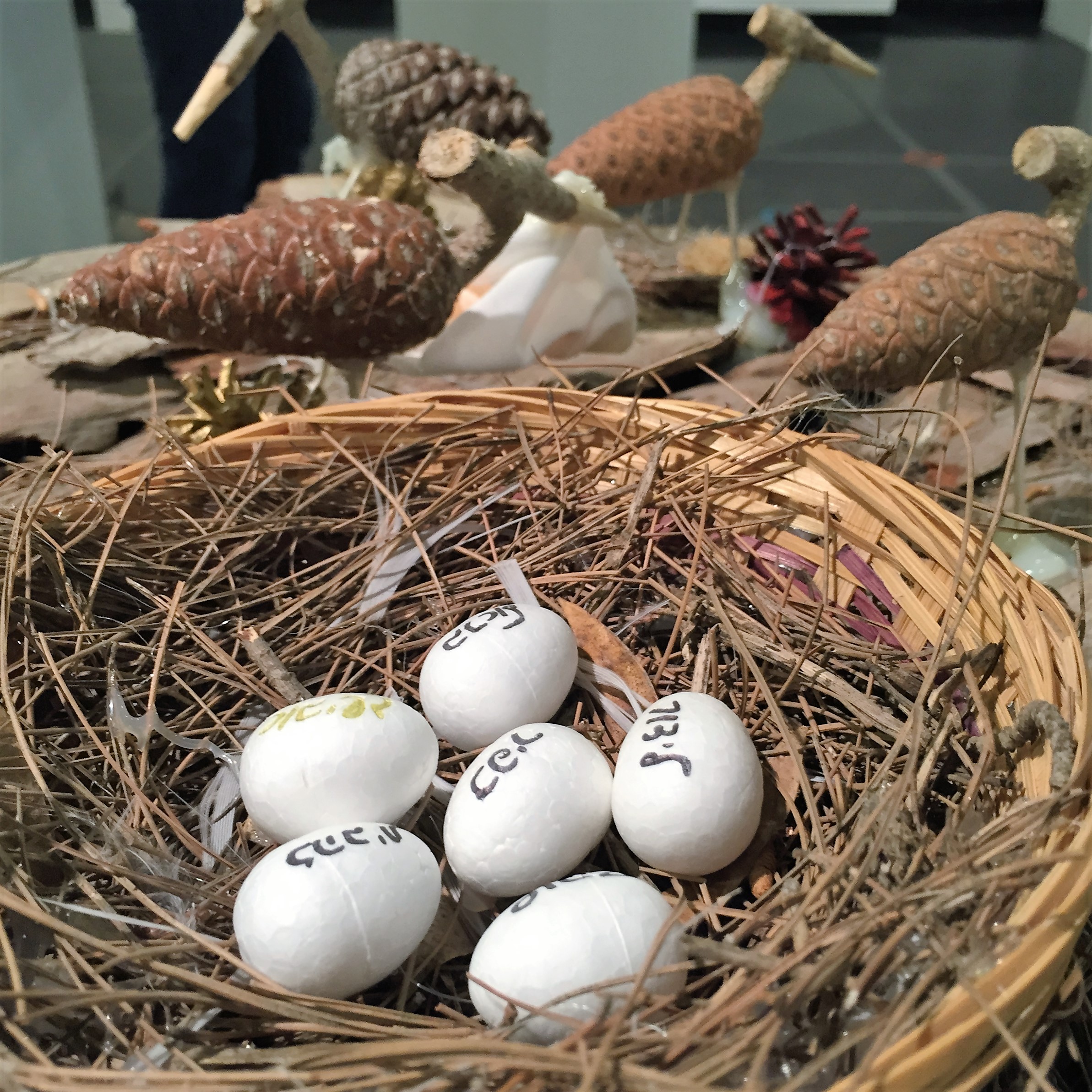 Everything but the Family Tree by Mel Rosenberg - מל רוזנברג - Ourboox.com