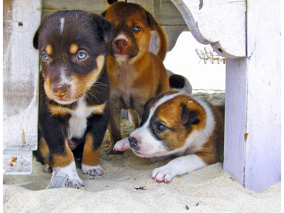 My Math Book by Meiana nasya Riddick - Ourboox.com