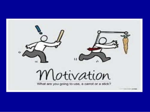 הגישה ההתנהגותית by naomi nega - Ourboox.com