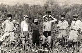 עבודת חקר על אגם החולה by .  - Illustrated by עמית גולדשטיין ועדן יוניוב - Ourboox.com