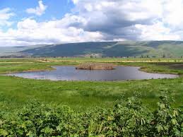 עבודת חקר על אגם החולה by .  - Illustrated by עמית גולדשטיין ועדן יוניוב - Ourboox.com