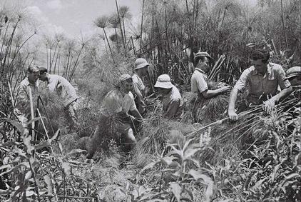 עבודת חקר על אגם החולה by .  - Illustrated by עמית גולדשטיין ועדן יוניוב - Ourboox.com