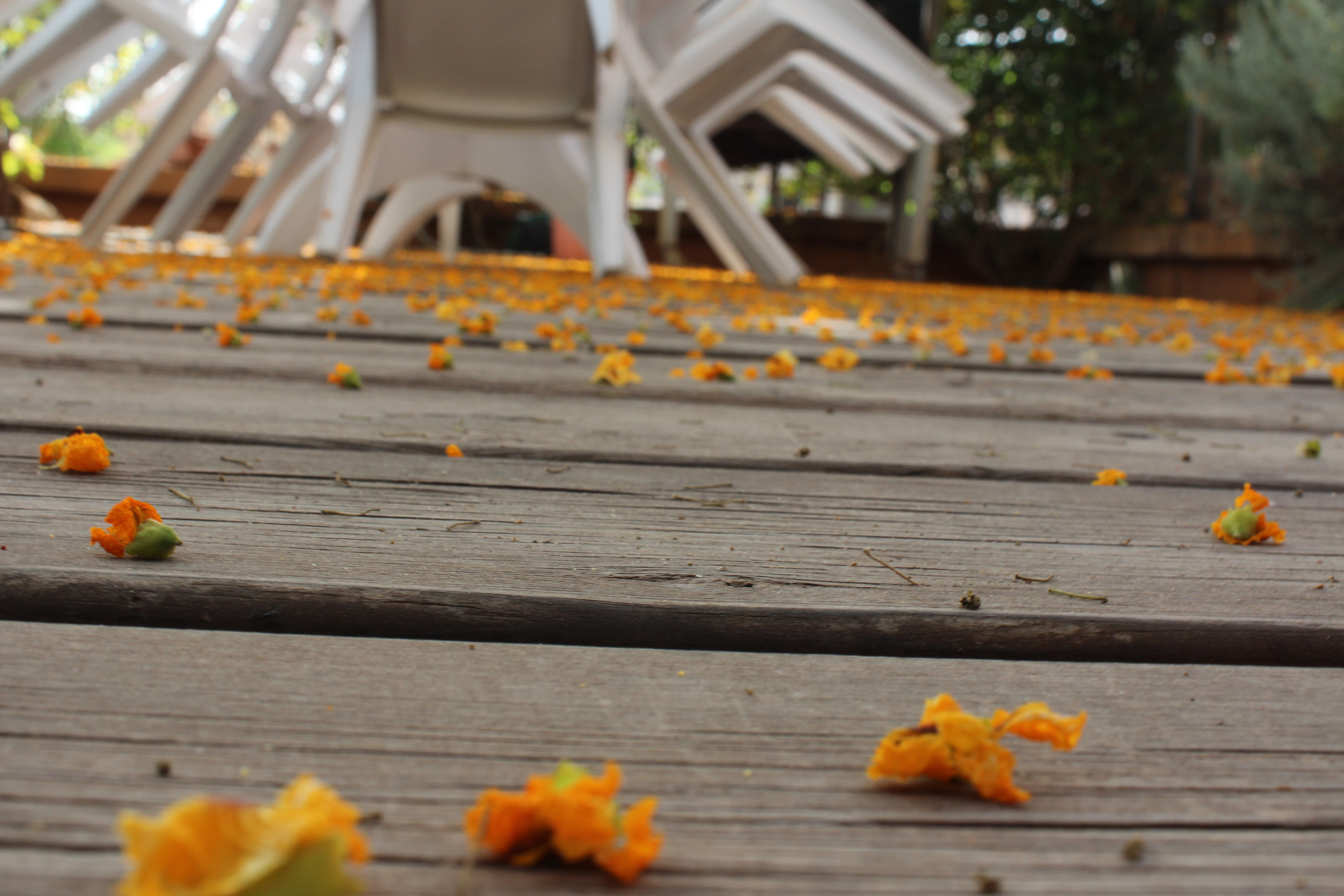 קליק מדליק by Adva Gluckshtad - Illustrated by אדווה גלוקשטד - Ourboox.com