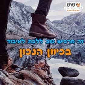 hany’s book by hany twig - Ourboox.com