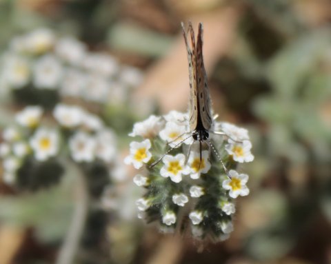 קליק מדליק by Adva Gluckshtad - Illustrated by אדווה גלוקשטד - Ourboox.com