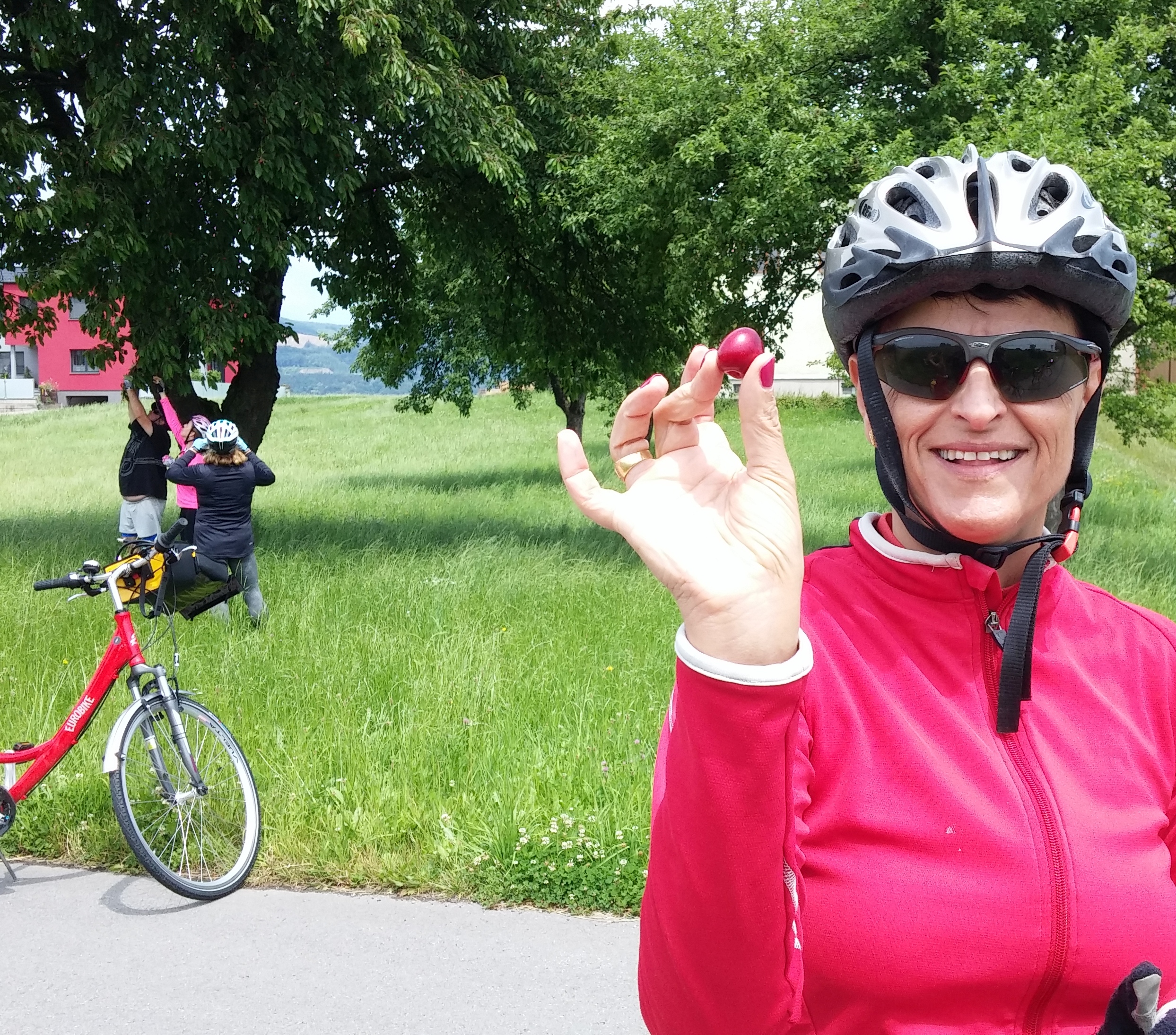 דנובה על אופניים – סיפור מסע – 2016 by רוכבים  - Ourboox.com