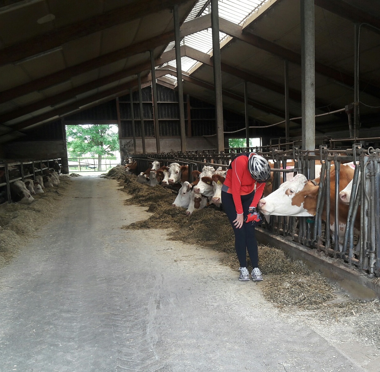 דנובה על אופניים – סיפור מסע – 2016 by רוכבים  - Ourboox.com