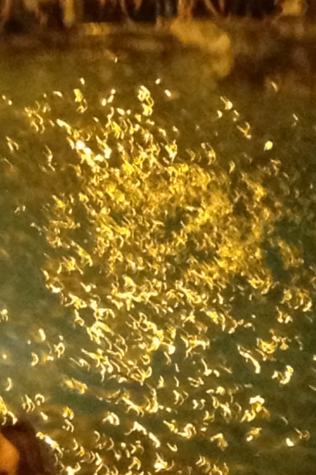 Rome The Light And The Rain by Shuli Sapir-Nevo Photo and Motto - Ourboox.com