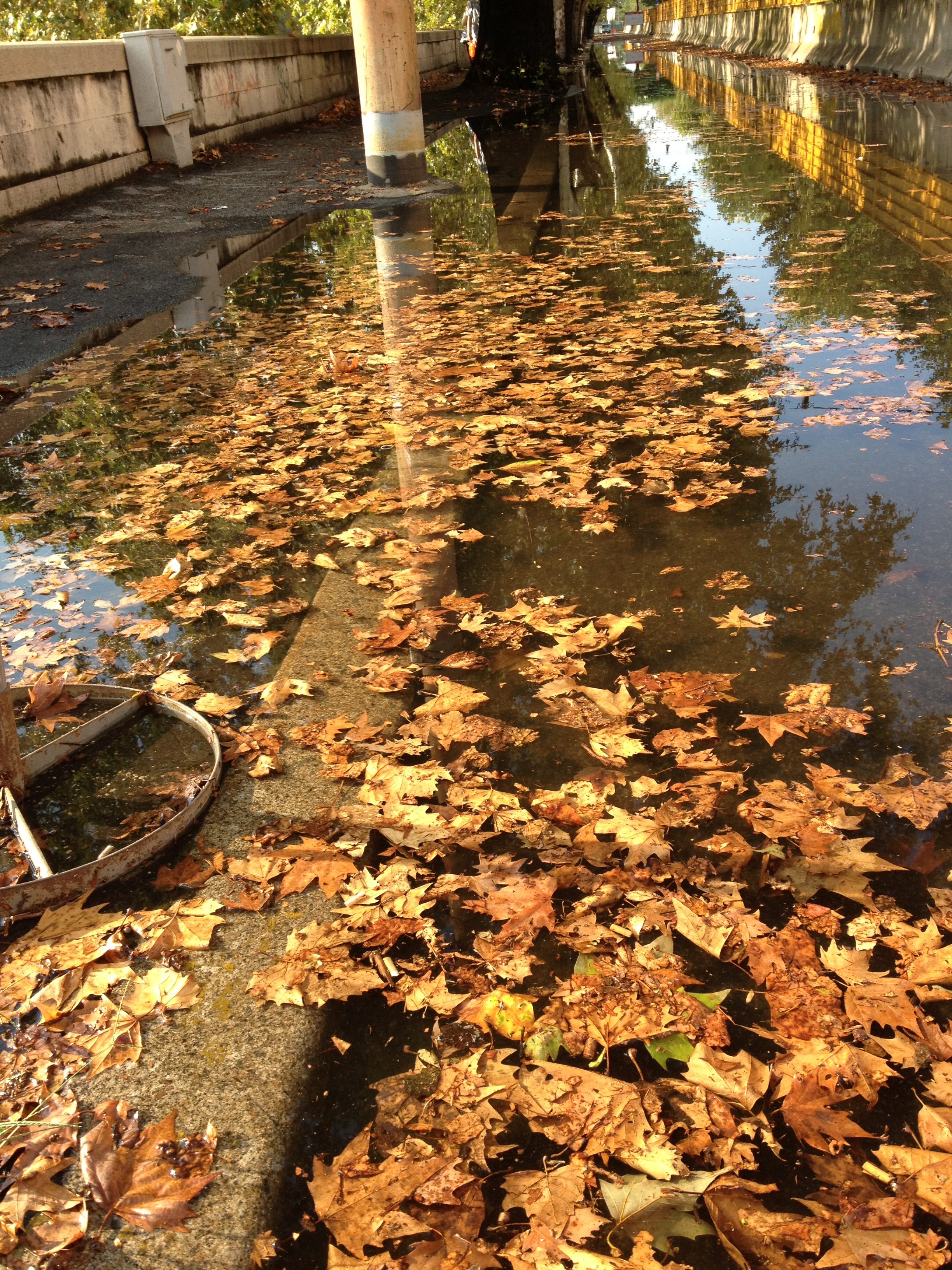 Rome The Light And The Rain by Shuli Sapir-Nevo Photo and Motto - Ourboox.com