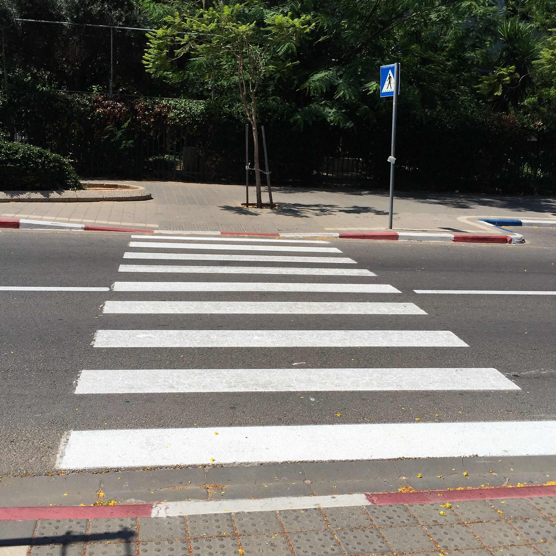 From Michal to Michal, at Afeka Tel-Aviv Academic College of Engineering by Mel Rosenberg - מל רוזנברג - Ourboox.com