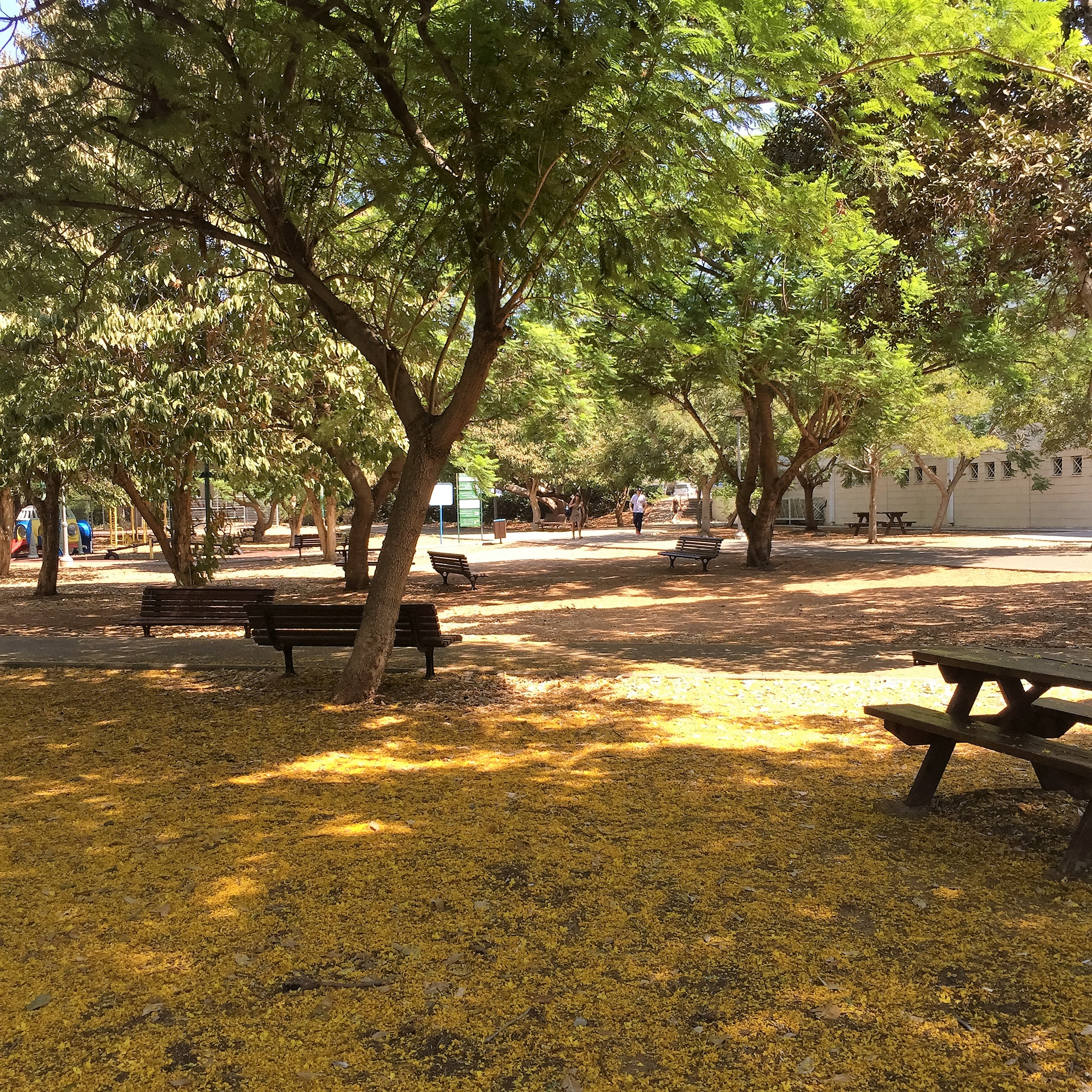 From Michal to Michal, at Afeka Tel-Aviv Academic College of Engineering by Mel Rosenberg - מל רוזנברג - Ourboox.com