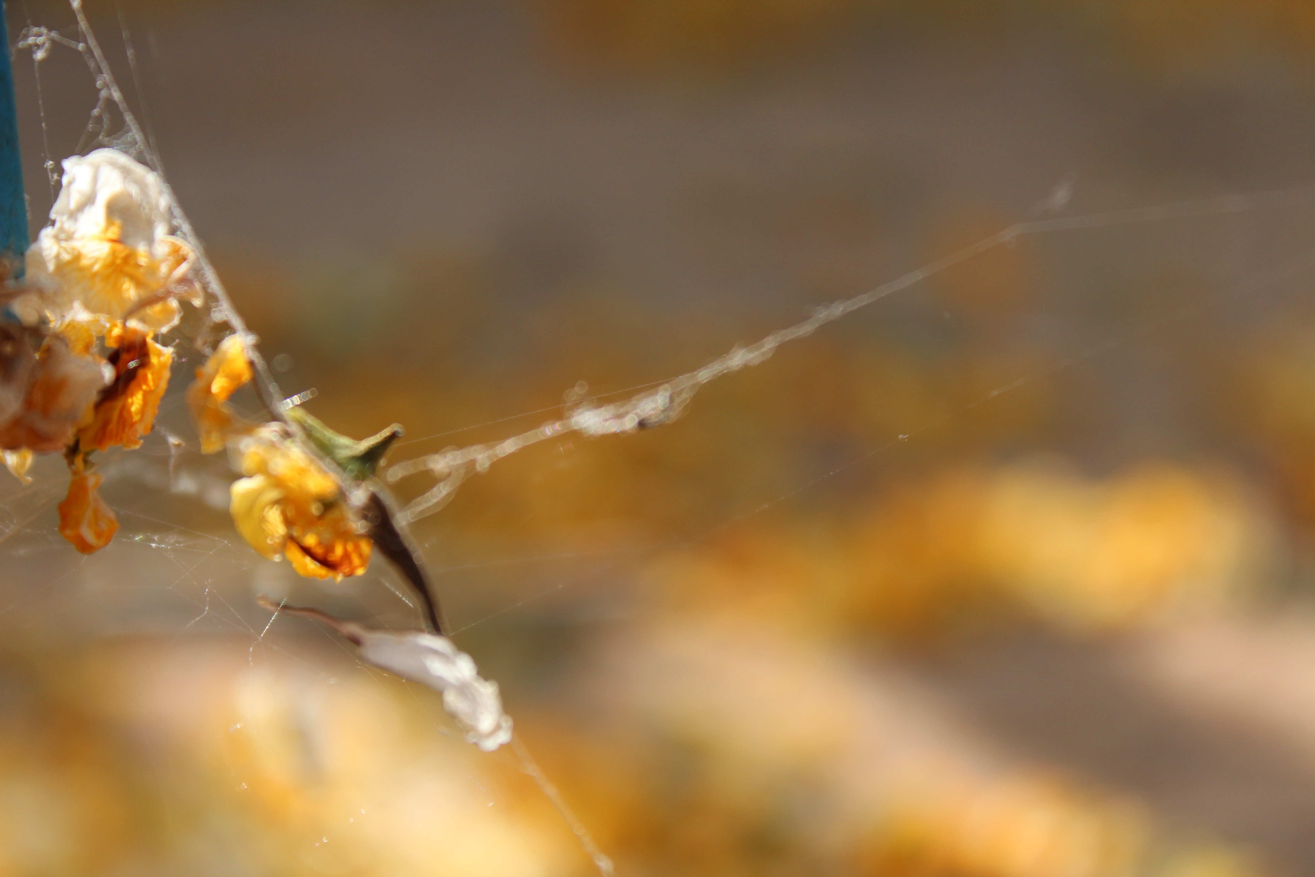 קליק מדליק by Adva Gluckshtad - Illustrated by אדווה גלוקשטד - Ourboox.com