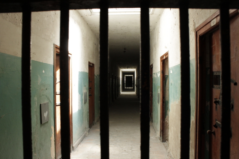 קליק מדליק by Adva Gluckshtad - Illustrated by אדווה גלוקשטד - Ourboox.com