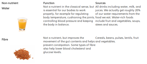 Basics of Nutrition by Maria Claire Cecille M. Morales - Ourboox.com