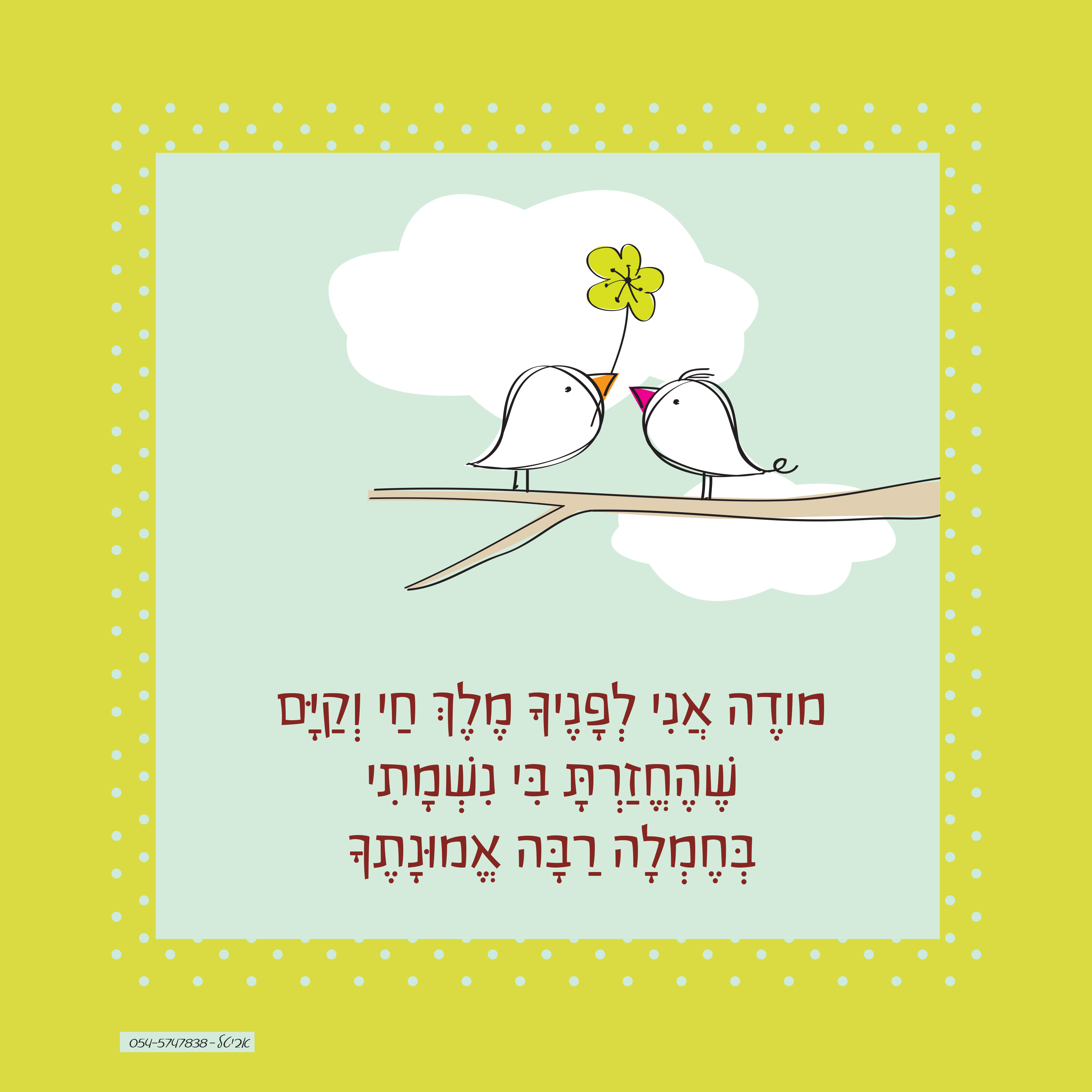 קטלוג קנבסים 2016 by hodaia dagan - Ourboox.com