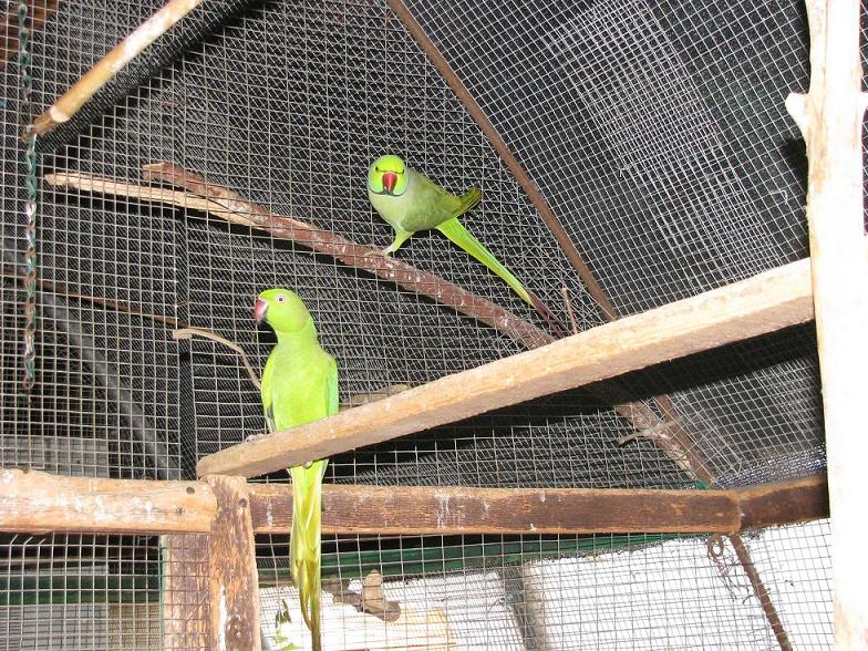 קמפוסים – בני עטרות תשע”ז by veredgrafi - Ourboox.com