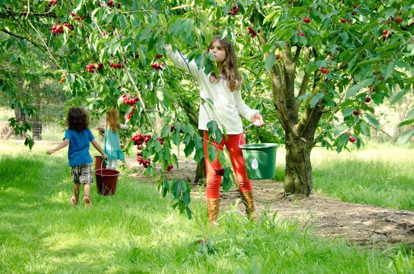 البرتقال والجيران by mervat salhab - Ourboox.com