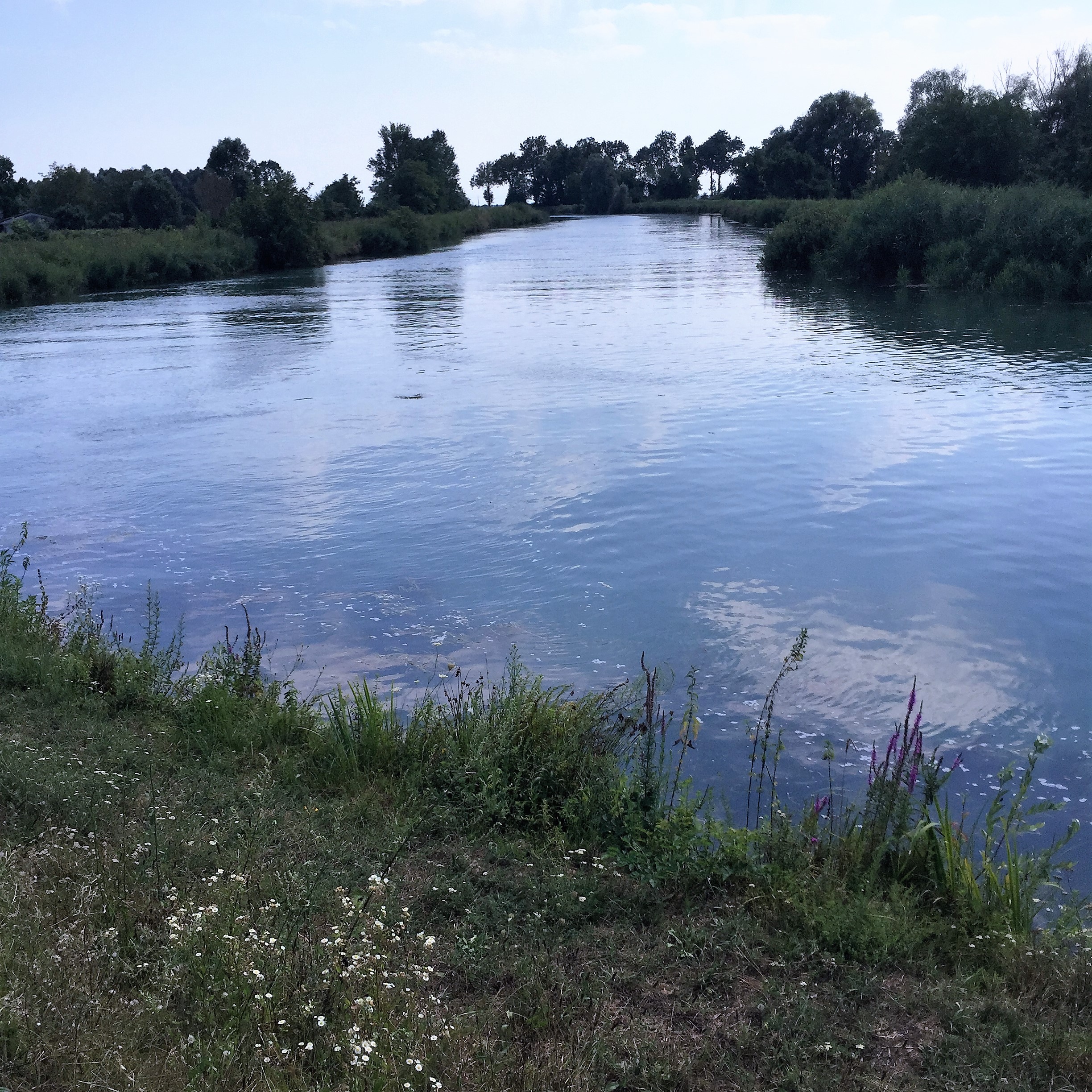 Kinnernet Italia, 2016 – The First Day by Mel Rosenberg - מל רוזנברג - Ourboox.com