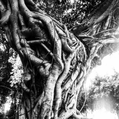 Geraldine Looks at Israel by Geraldine Aresteanu - Ourboox.com