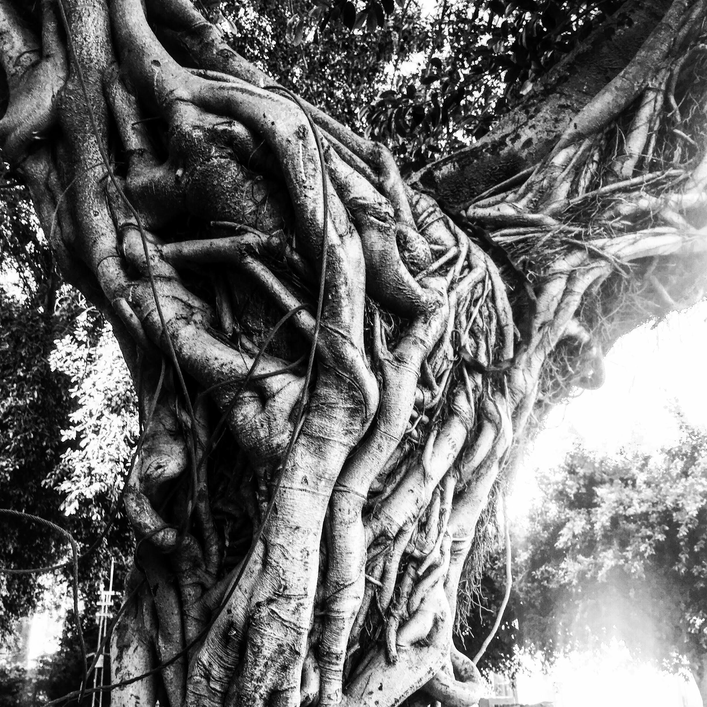 Geraldine Looks at Israel by Geraldine Aresteanu - Ourboox.com