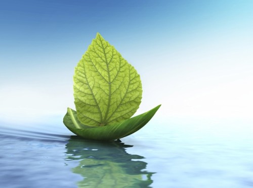 החיים – המסע את התכלית by eli elharar - Ourboox.com