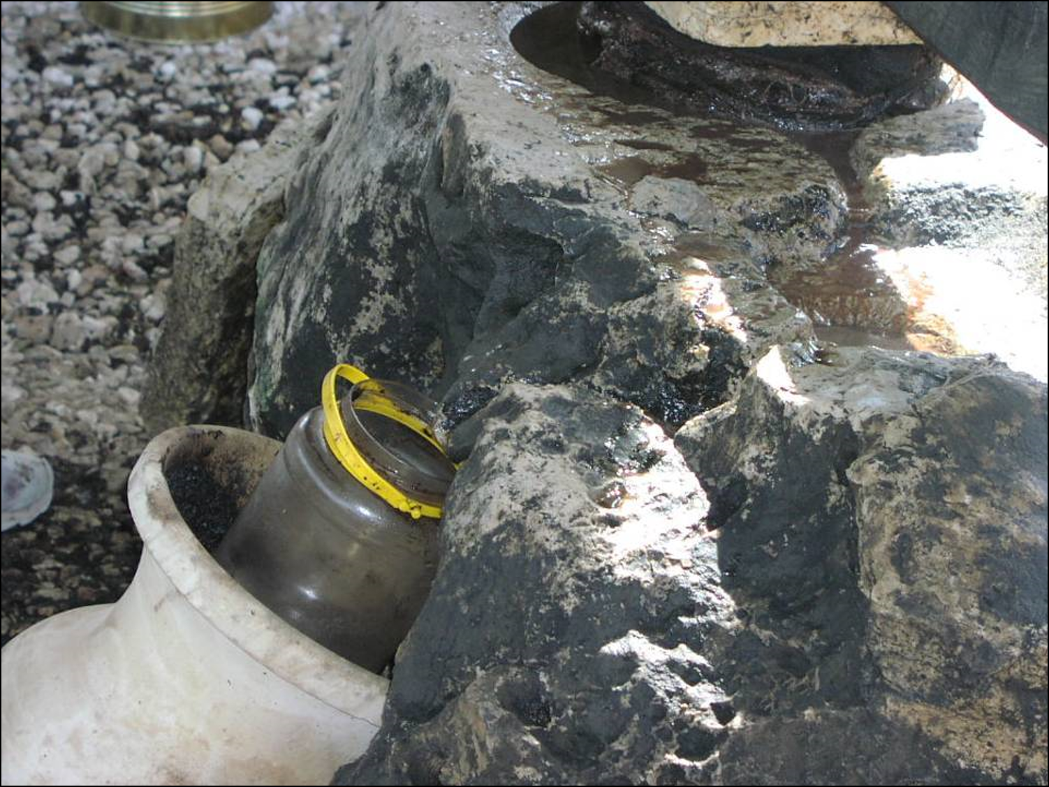 איך נפיק שמן מזיתים? by netanela giladi - Illustrated by בן אברהם גלית, גלעדי נתנאלה, וכטל דוני, חפץ רויטל - Ourboox.com