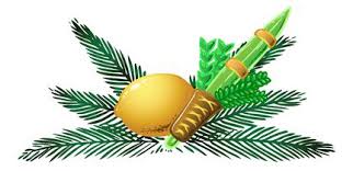 ארבעת המינים במדע by carmela cohanim - Ourboox.com