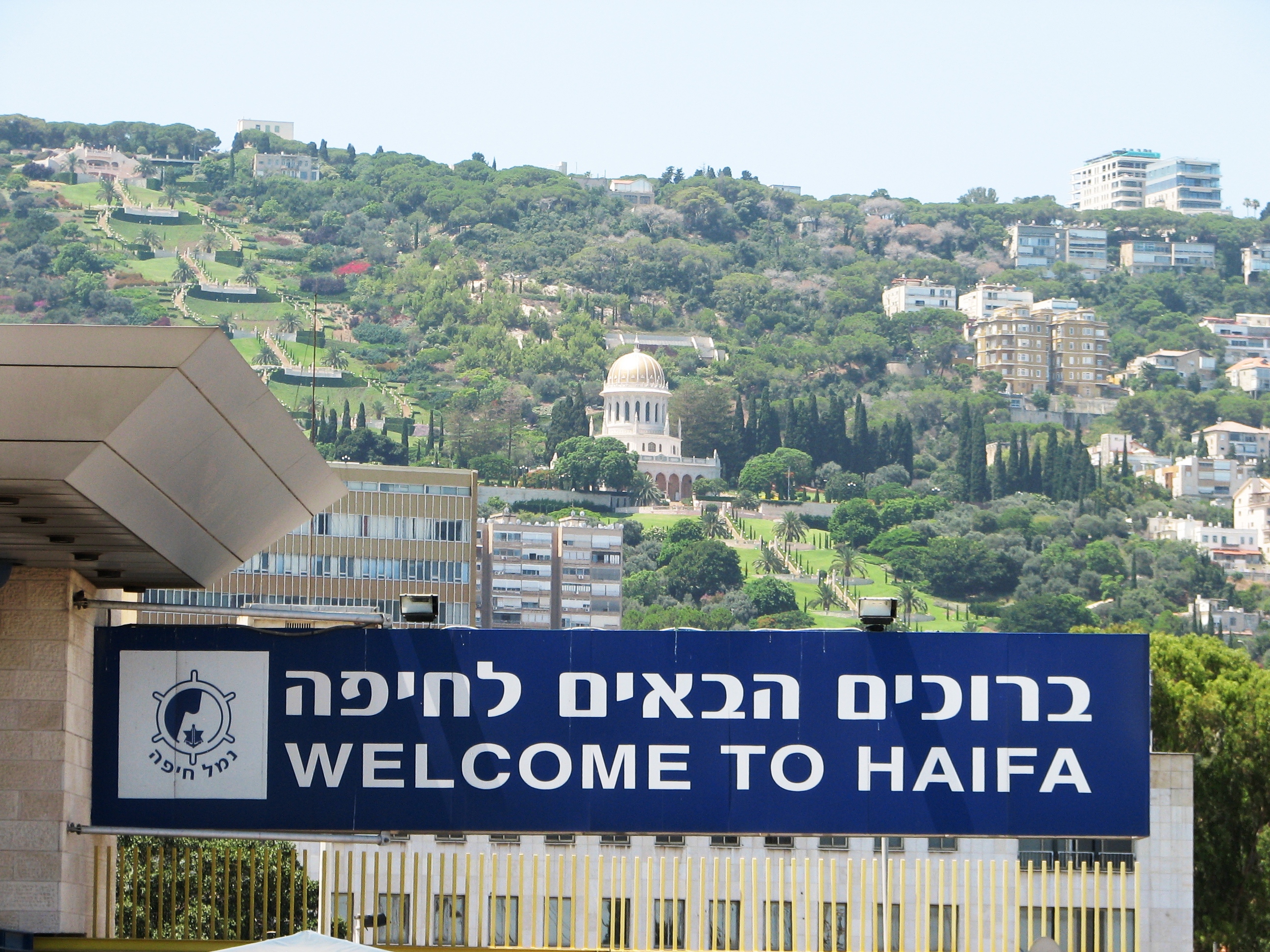 תיאודור by or raz - Illustrated by יונתן תלם ואור רז - Ourboox.com