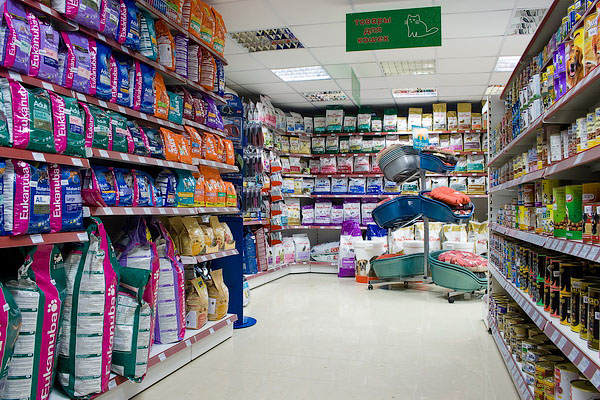 תיאודור by or raz - Illustrated by יונתן תלם ואור רז - Ourboox.com