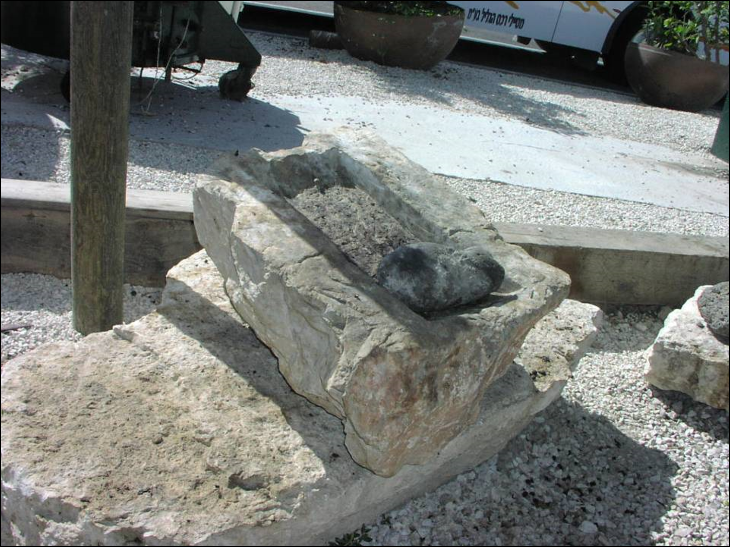 איך נפיק שמן מזיתים? by netanela giladi - Illustrated by בן אברהם גלית, גלעדי נתנאלה, וכטל דוני, חפץ רויטל - Ourboox.com