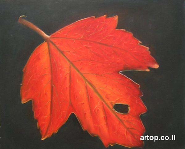 מתנה לחגים by netanela giladi - Ourboox.com