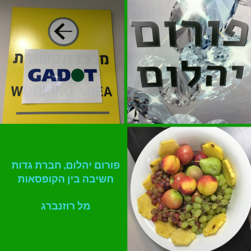 פורום יהלום, חברת גדות – חשיבה בין הקופסאות by Mel Rosenberg - מל רוזנברג - Ourboox.com