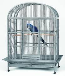 יאנקו העולה מרוסיה by boypig - Ourboox.com