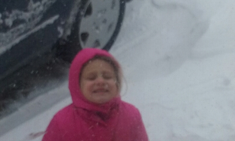 Groundhog Day Blizzard by anastasia harris - Ourboox.com