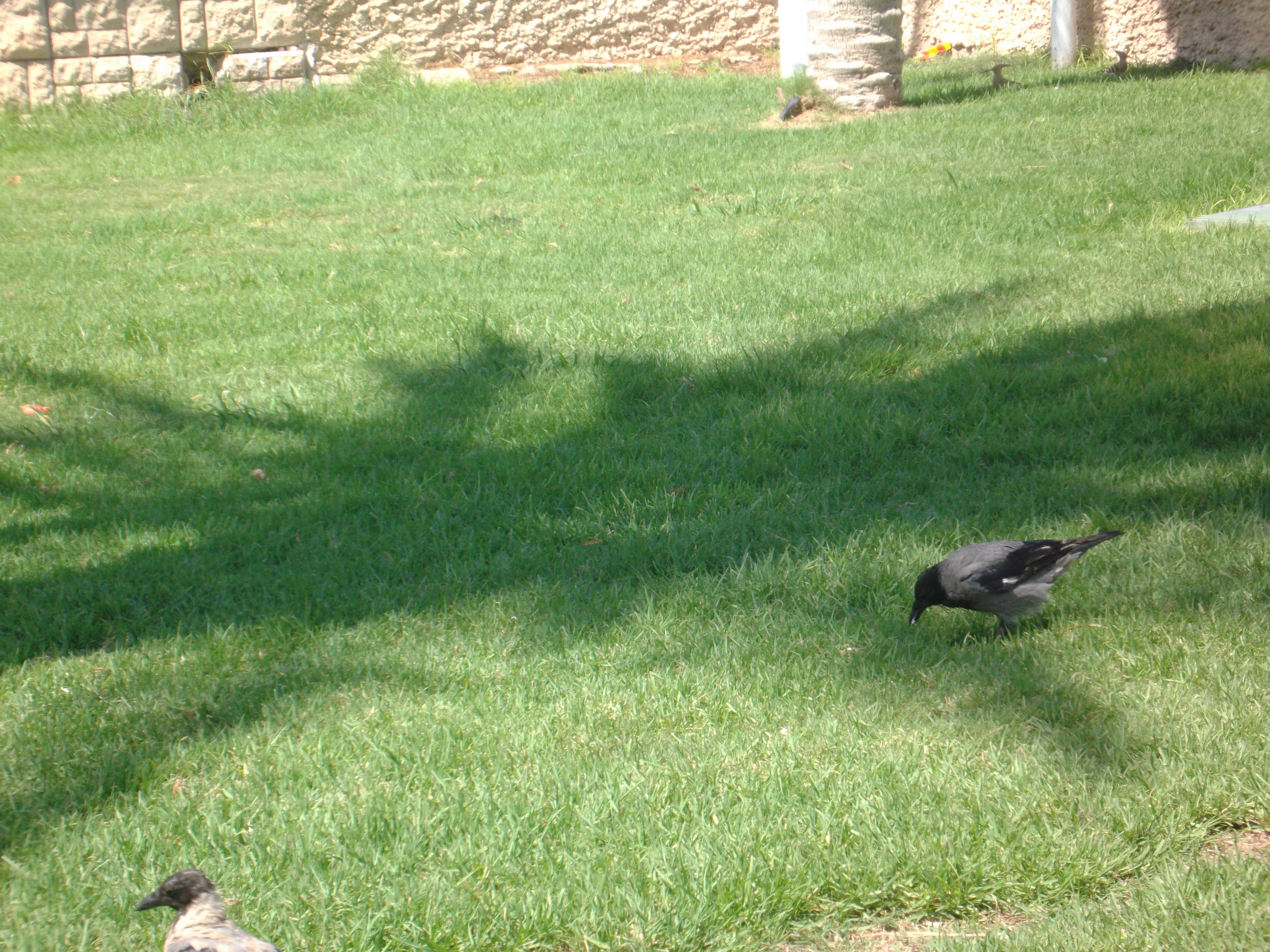 תמונות יפות by avital bar - Ourboox.com