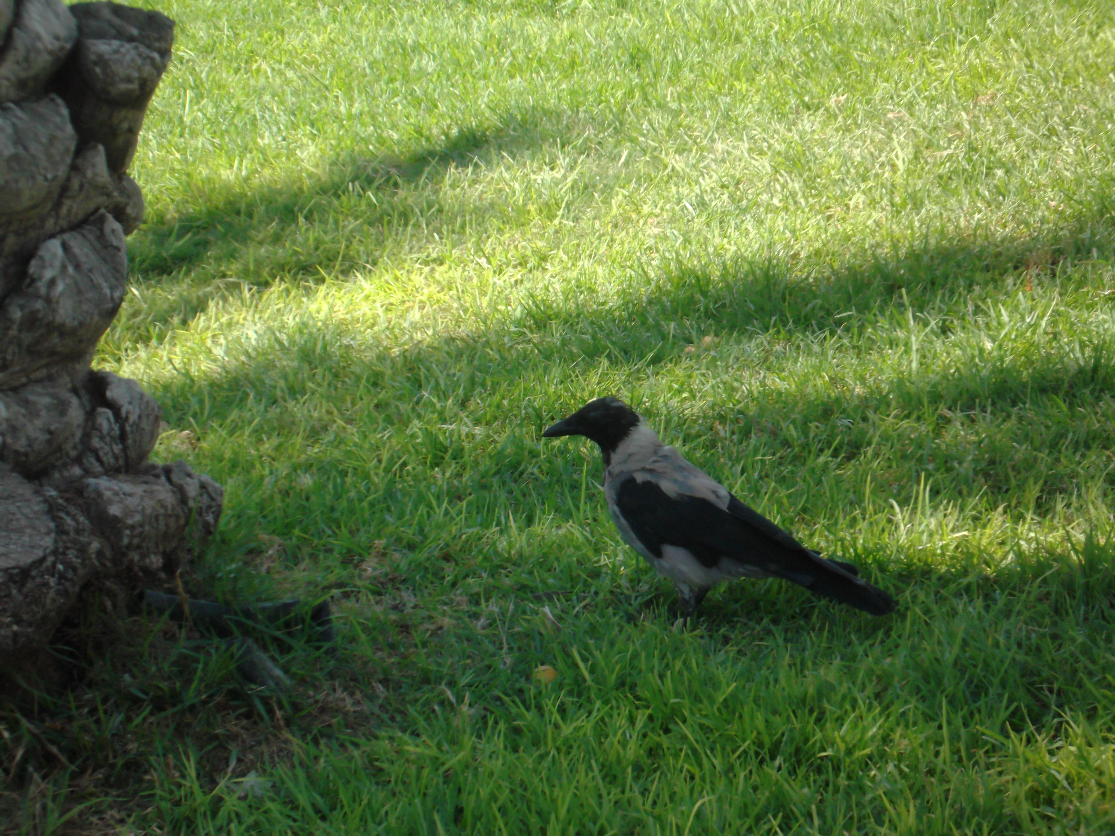 תמונות יפות by avital bar - Ourboox.com