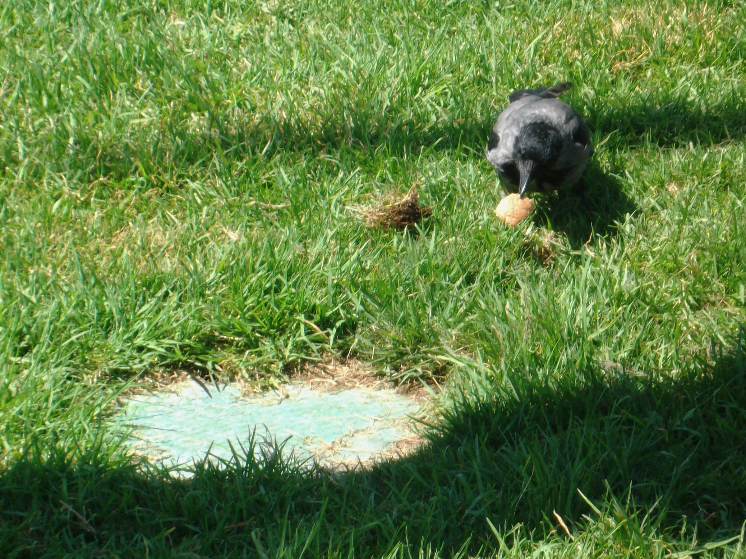 תמונות יפות by avital bar - Ourboox.com