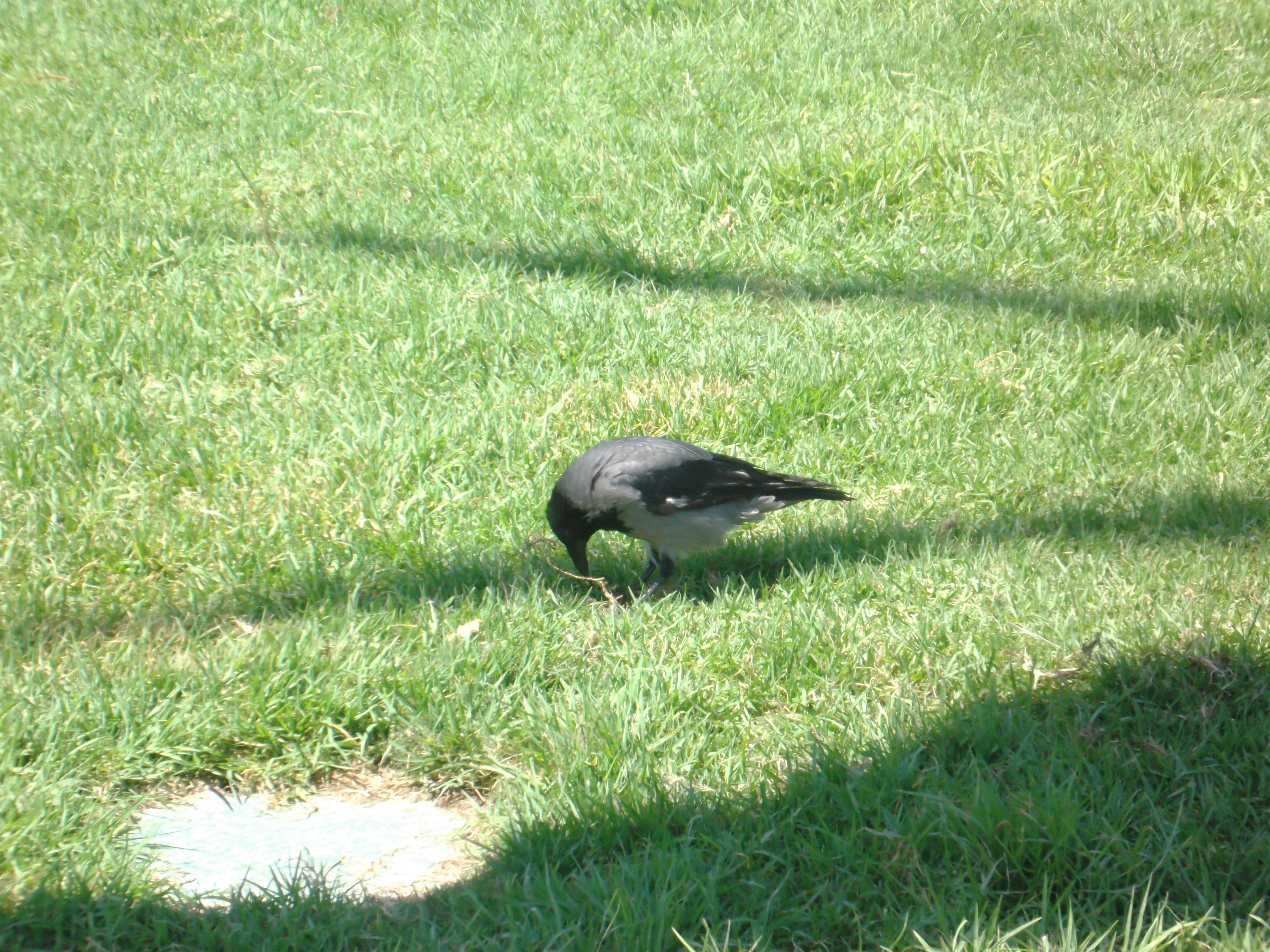 תמונות יפות by avital bar - Ourboox.com