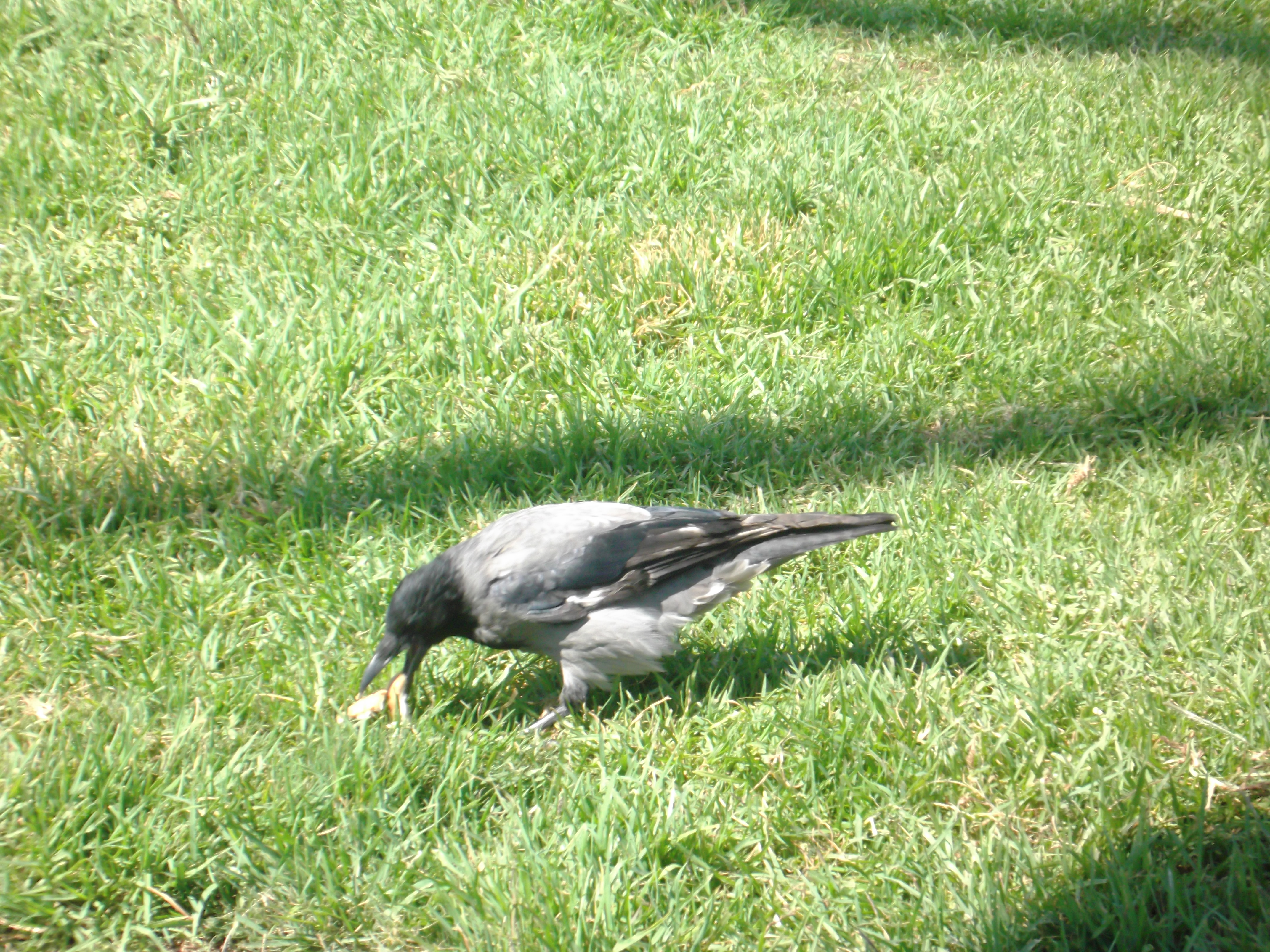 תמונות יפות by avital bar - Ourboox.com