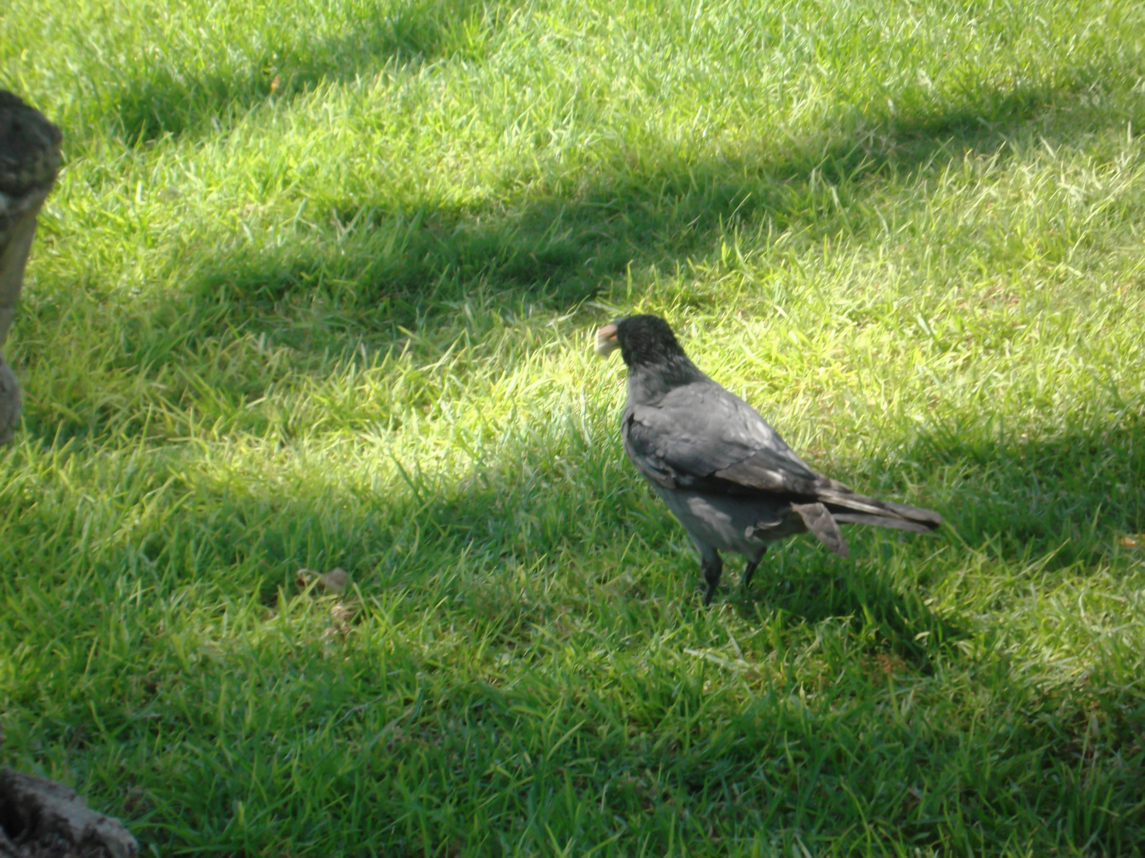 תמונות יפות by avital bar - Ourboox.com