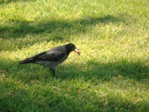 תמונות יפות by avital bar - Ourboox.com