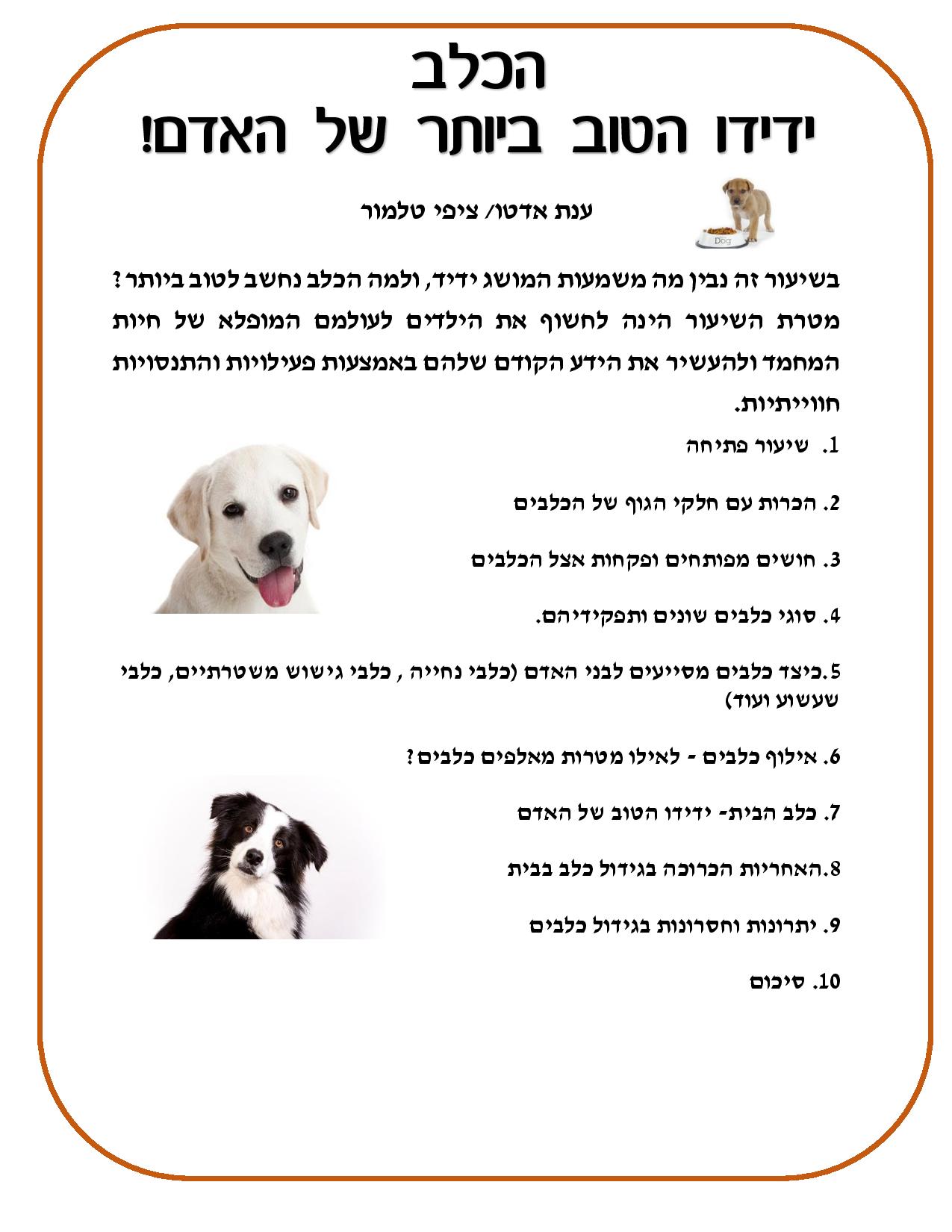 שיעורי בחירה תשע”ז by maayan - Illustrated by צוות בית חינוך תלמים - Ourboox.com