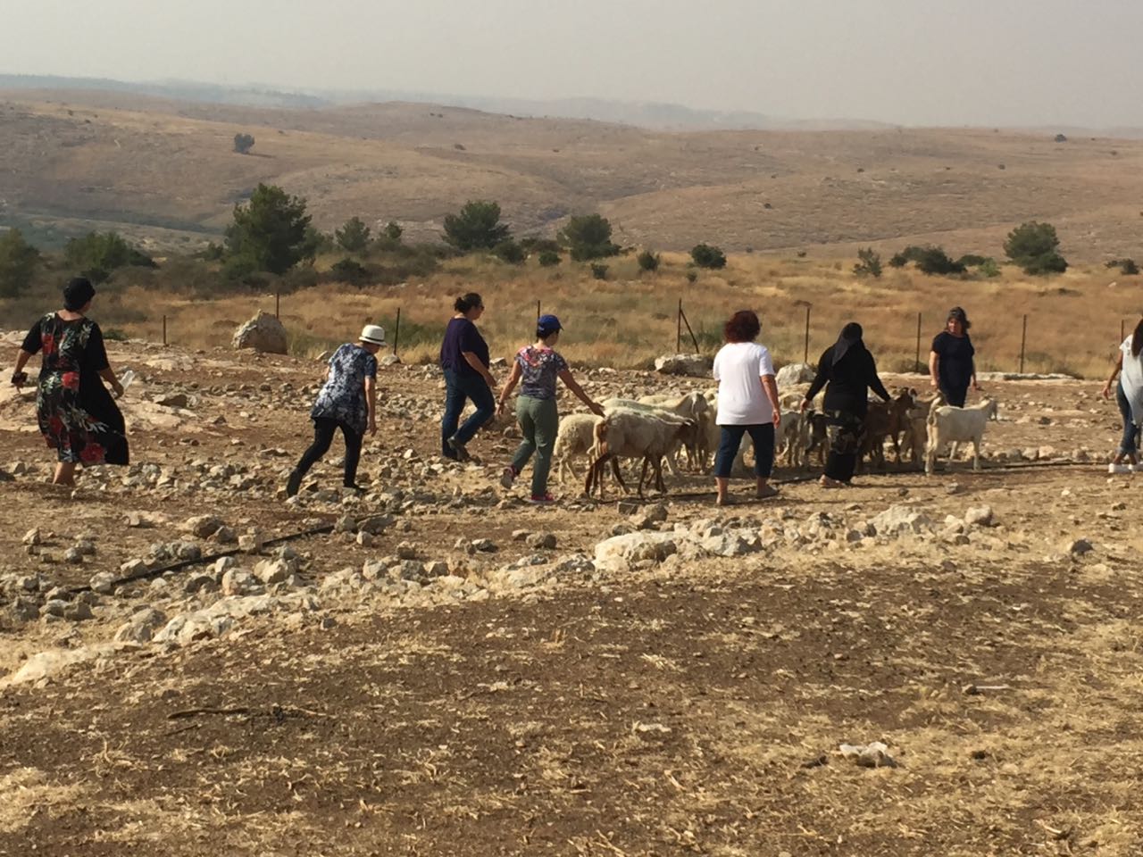 סוף הוא תמיד התחלה של משהו אחר by yuvalim ramla - Illustrated by צוות מורי בית ספר יובלים - Ourboox.com