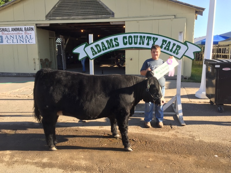 For the Love of 4-H by Amy Wilson - Illustrated by Amy Wilson - Ourboox.com