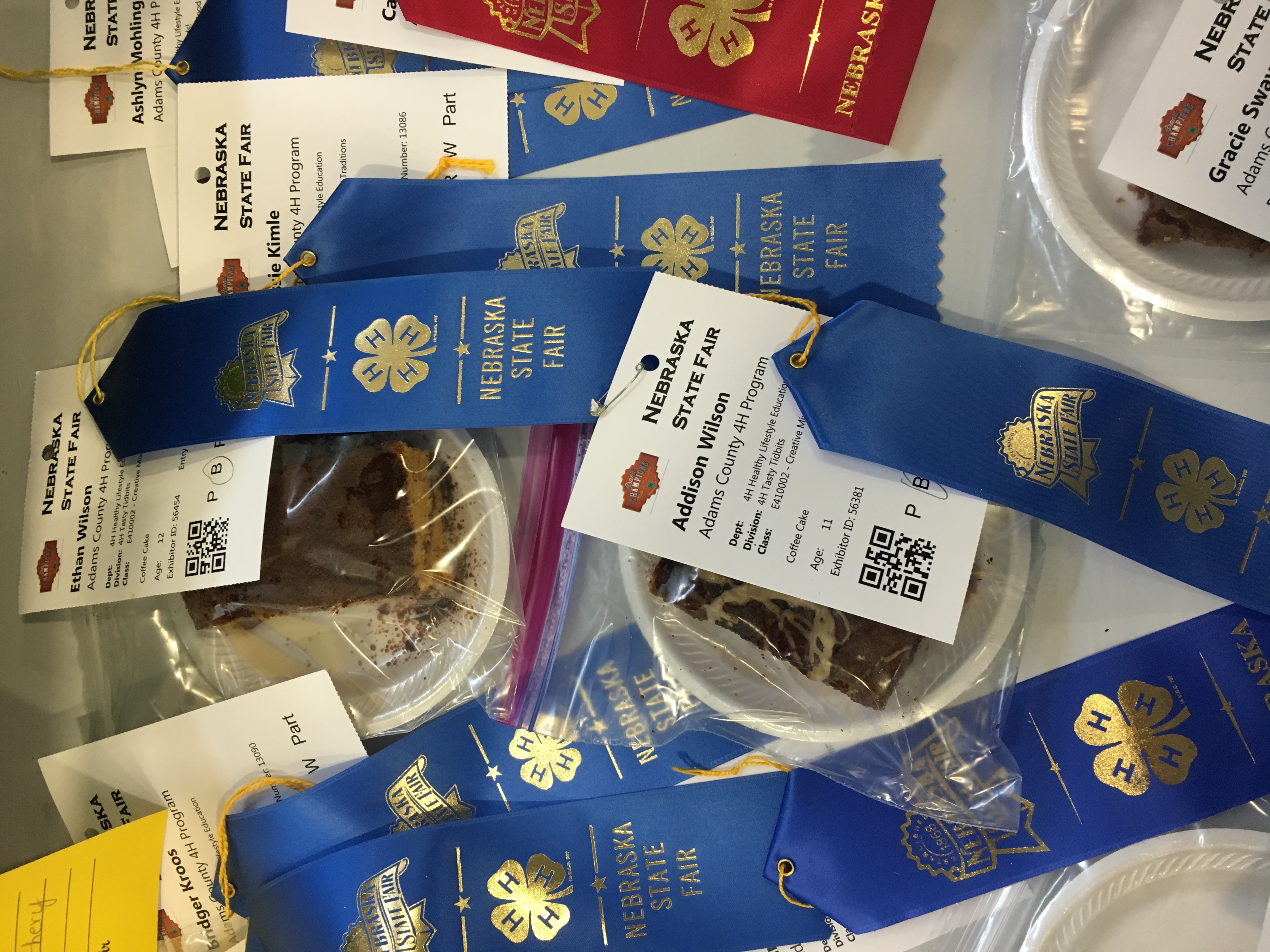 For the Love of 4-H by Amy Wilson - Illustrated by Amy Wilson - Ourboox.com