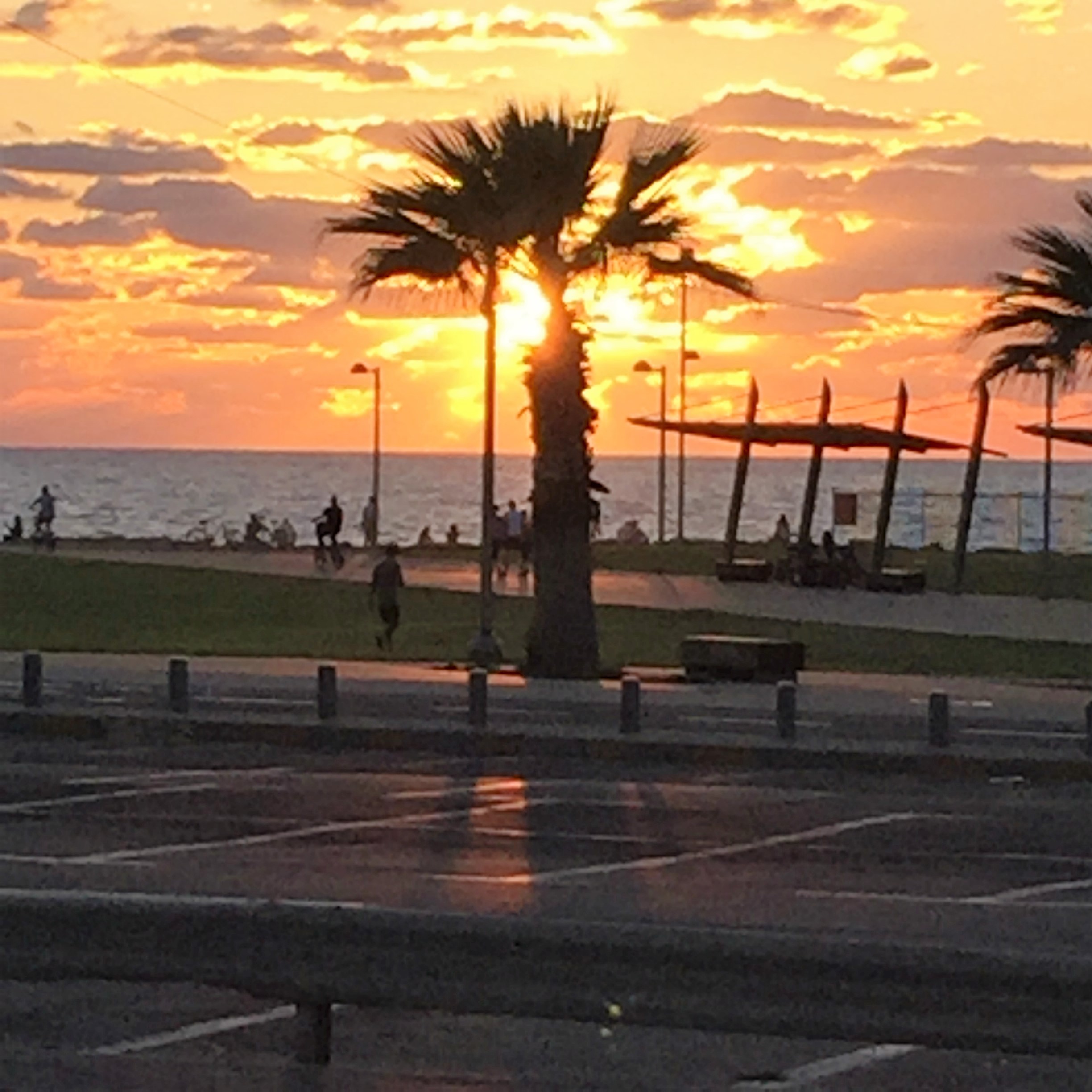 DLD Fever – Jeff Pulver Tastes Tel Aviv’s best Latte by Mel Rosenberg - מל רוזנברג - Ourboox.com